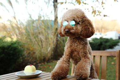 Cute fluffy dog with sunglasses at table in outdoor cafe. Space for text
