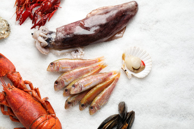 Photo of Fresh fish and seafood on ice, flat lay