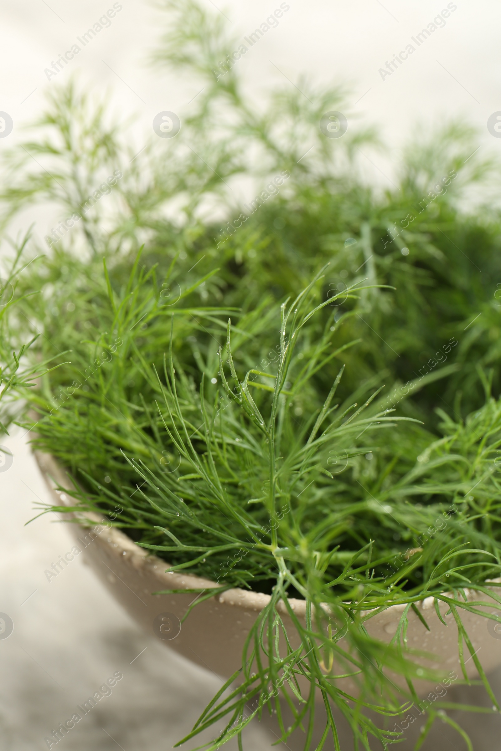 Photo of Bowl of fresh green dill with water drops on table, closeup