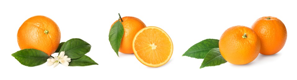 Image of Set with tasty ripe oranges on white background. Banner design 