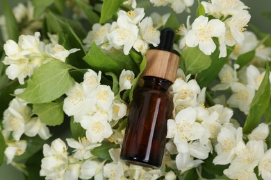 Photo of Essential oil in bottle among beautiful jasmine flowers on pale green background, closeup