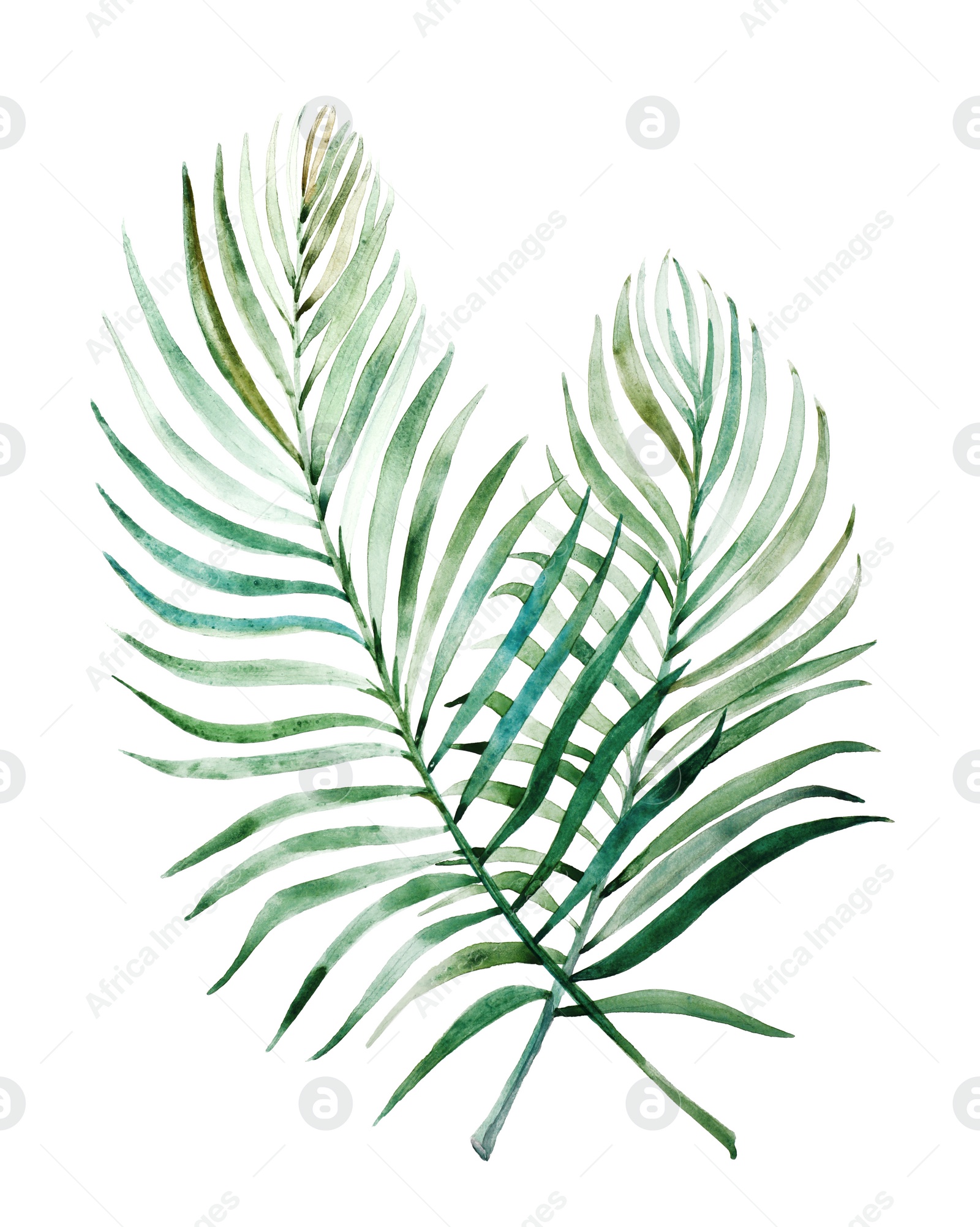 Photo of Beautiful watercolor tropical leaves painted on white paper, top view