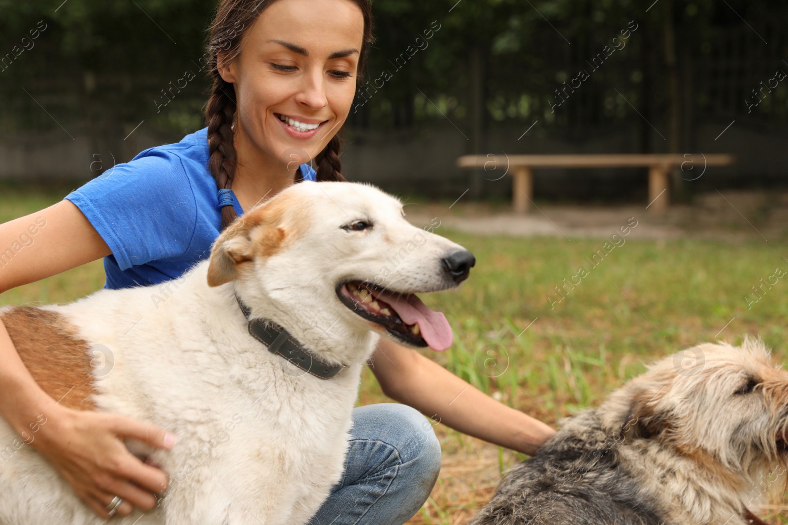 Photo of Female volunteer with homeless dogs at animal shelter outdoors