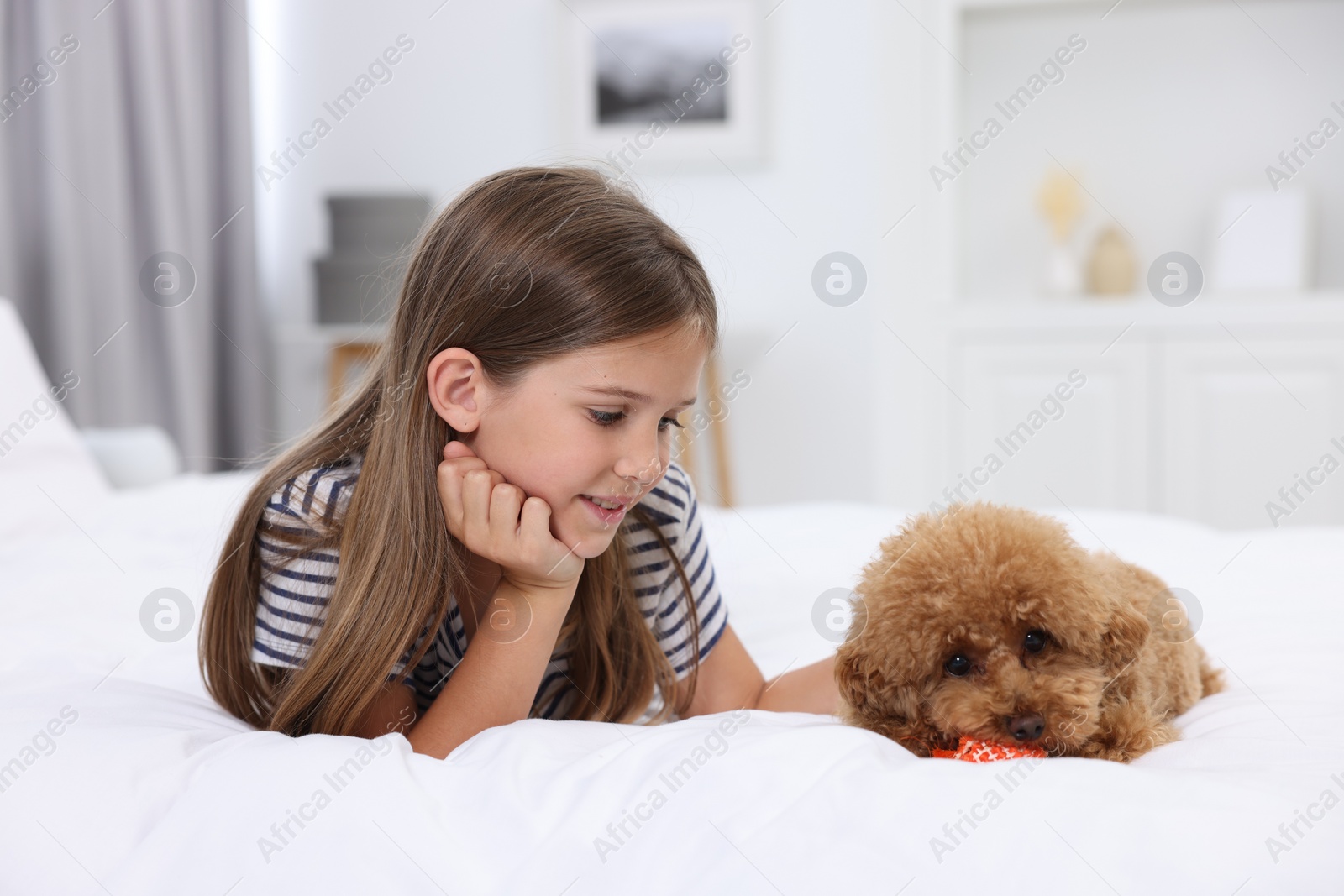 Photo of Little child and cute puppy on bed at home. Lovely pet