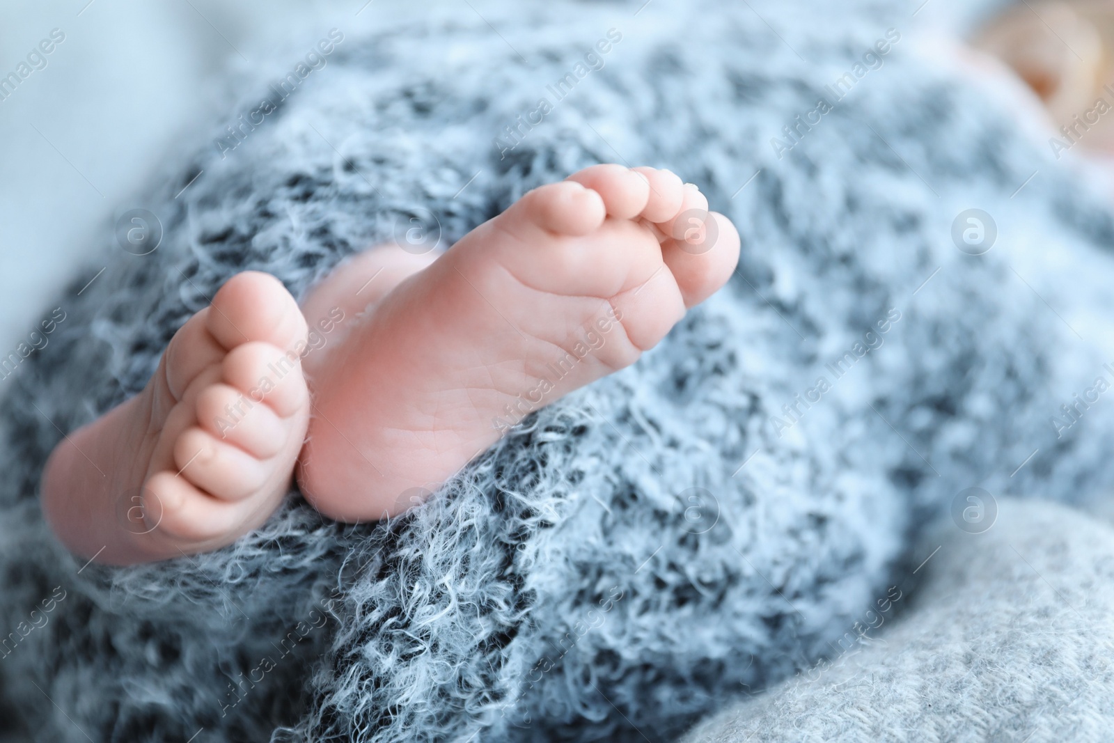 Photo of Newborn baby lying on blanket, closeup of legs