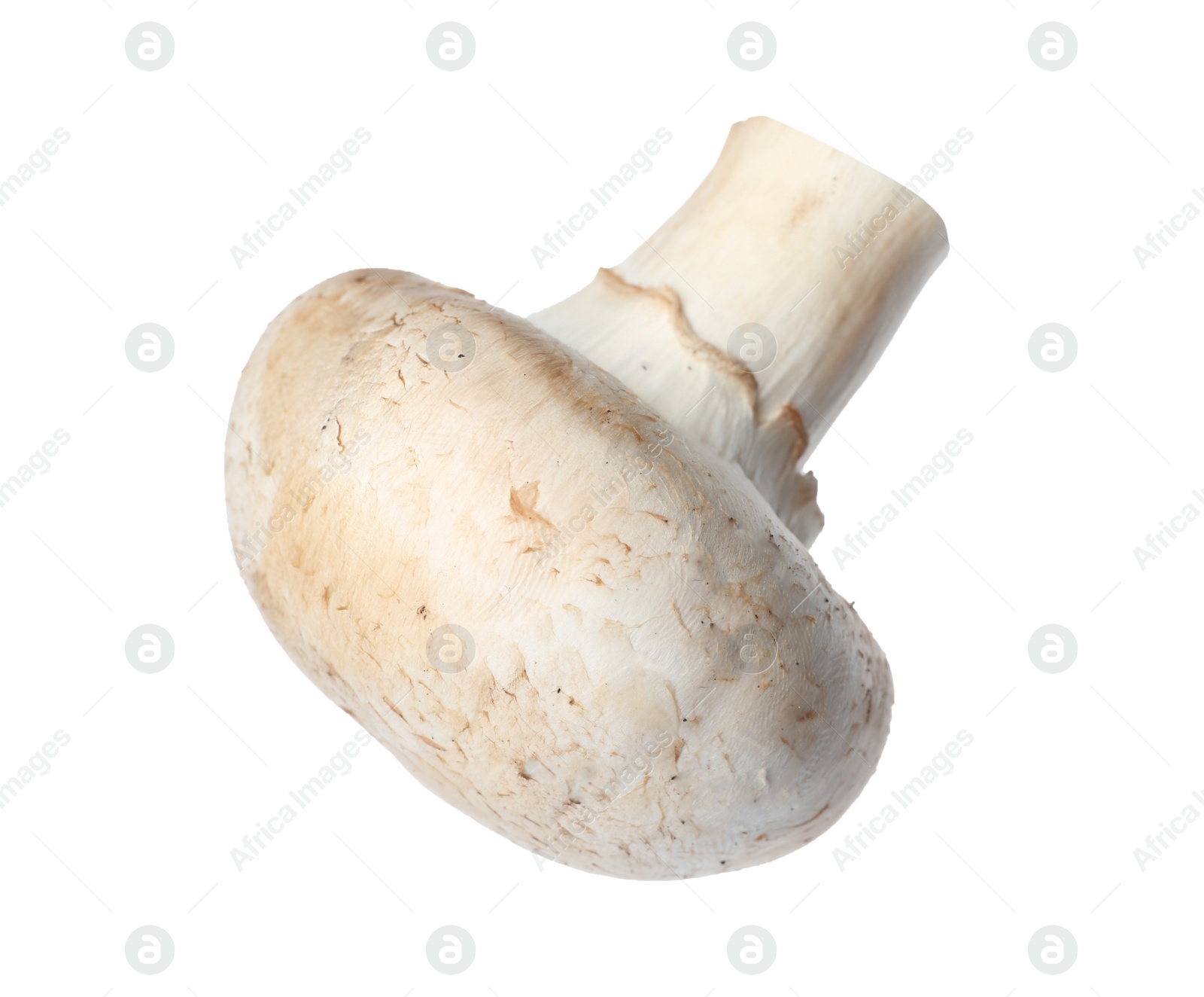 Photo of Fresh champignon mushroom isolated on white. Healthy food