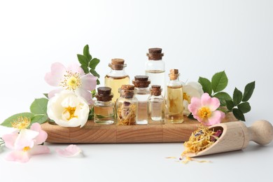 Aromatherapy. Different essential oils, flowers and green leaves on white background