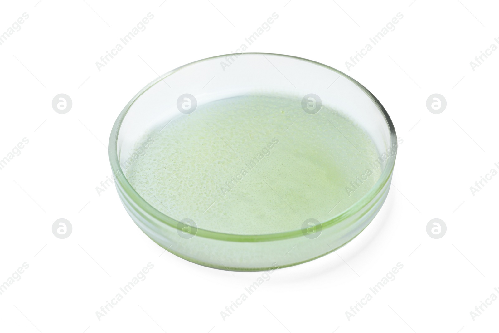 Photo of Petri dish with green liquid isolated on white