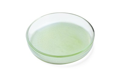Photo of Petri dish with green liquid isolated on white