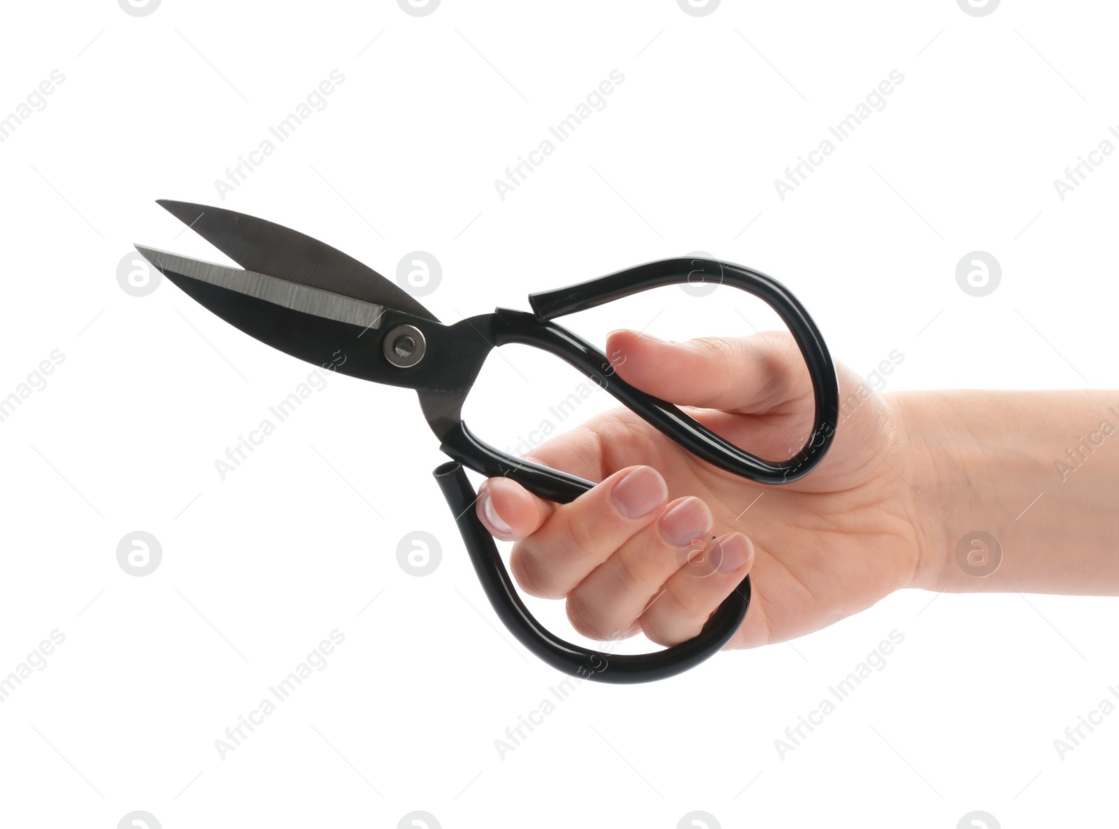 Photo of Woman holding scissors on white background, closeup