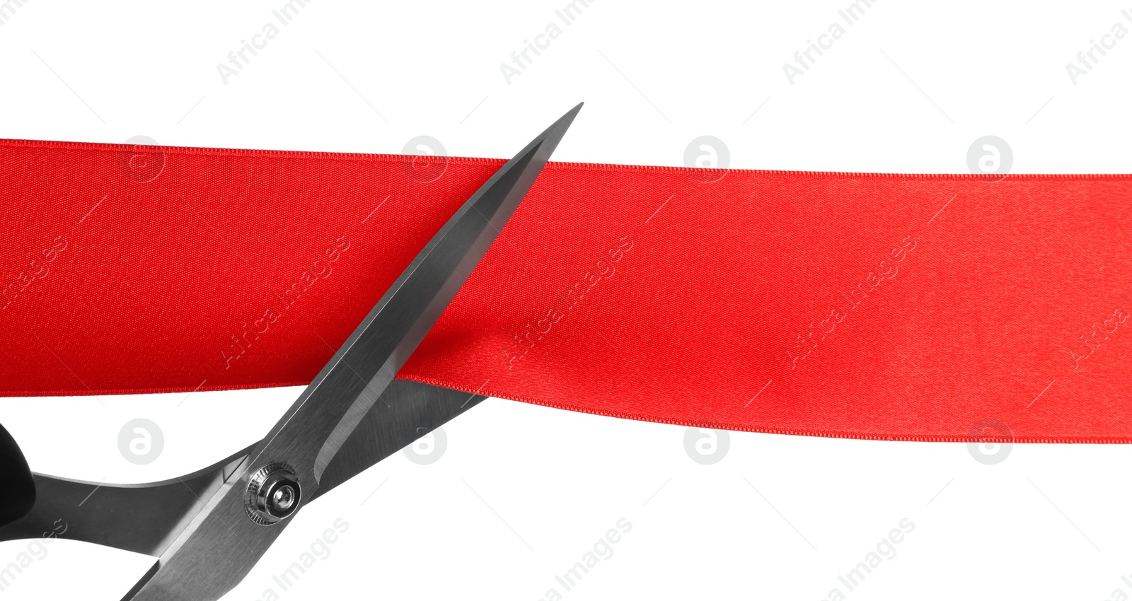 Photo of Cutting red ribbon with scissors on white background