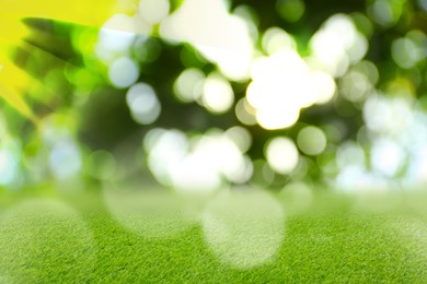 Vibrant green grass outdoors on sunny day