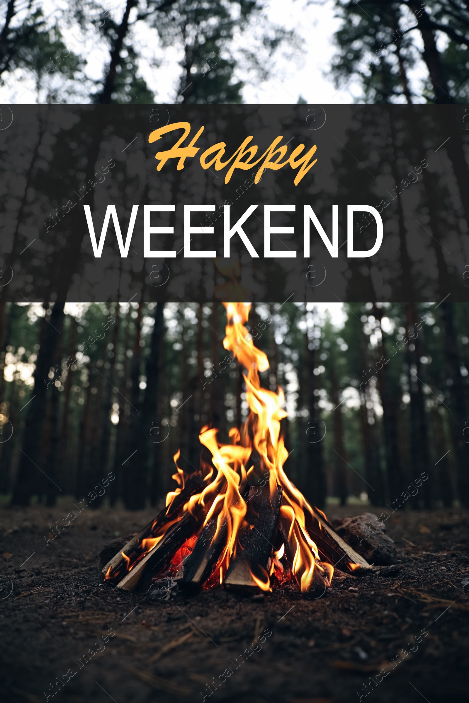 Image of Happy Weekend. Beautiful bonfire with burning firewood in forest