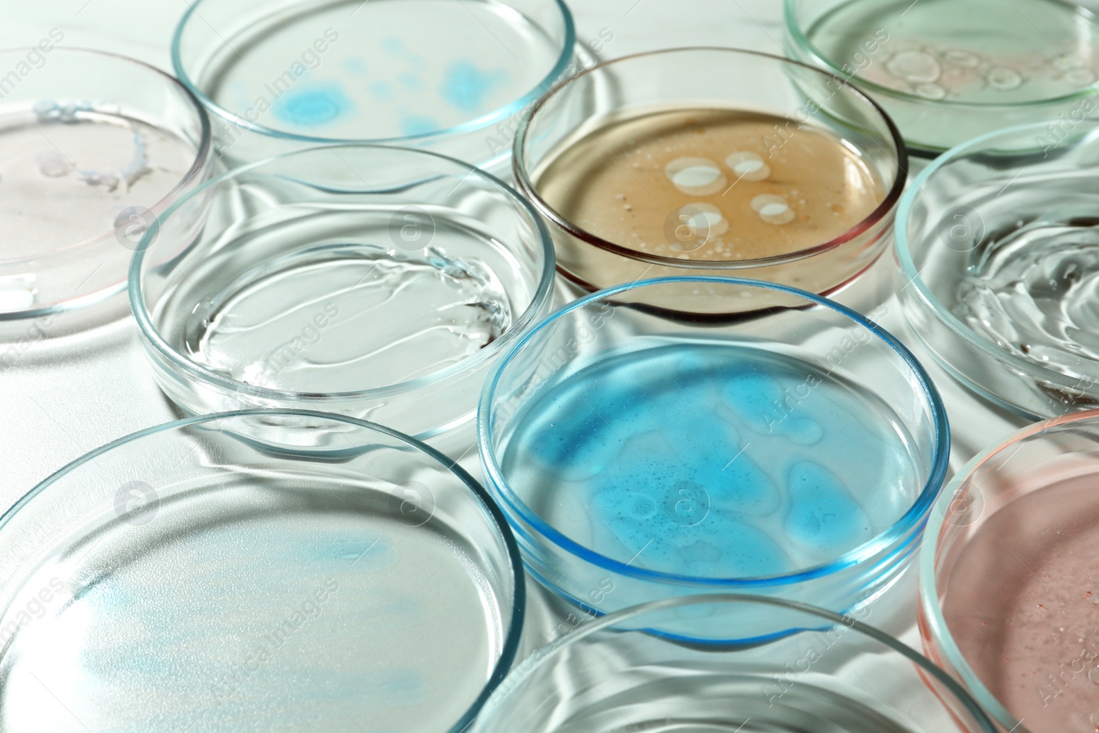 Photo of Petri dishes with liquids on white table, closeup