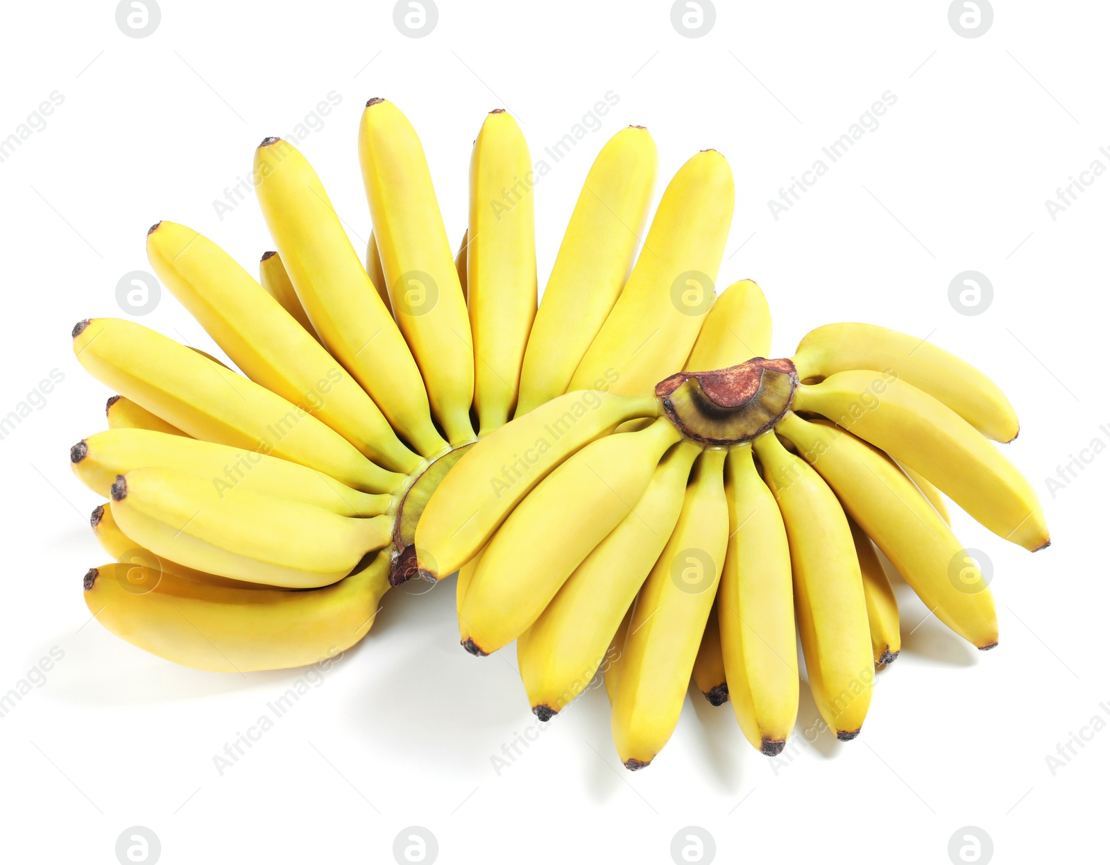 Photo of Bunches of ripe baby bananas on white background