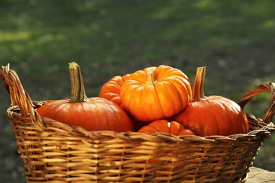 Many pumpkins in wicker basket outdoors, closeup