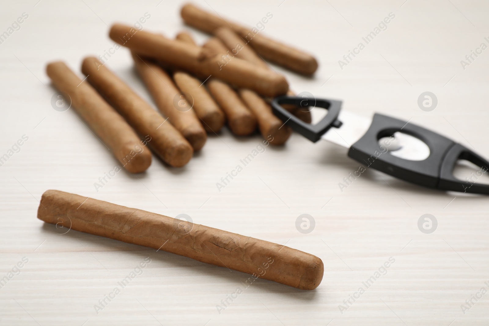 Photo of Cigars and guillotine cutter on white wooden table