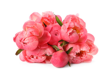 Photo of Beautiful pink peony bouquet isolated on white