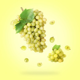 Fresh grapes and leaves in air on yellowish green background