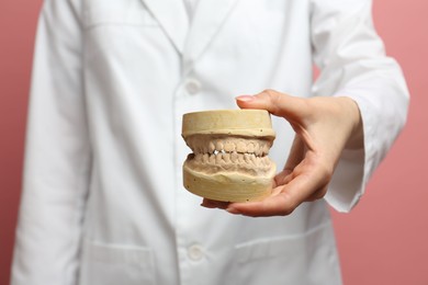 Doctor holding dental model with jaws on pink background, selective focus. Cast of teeth