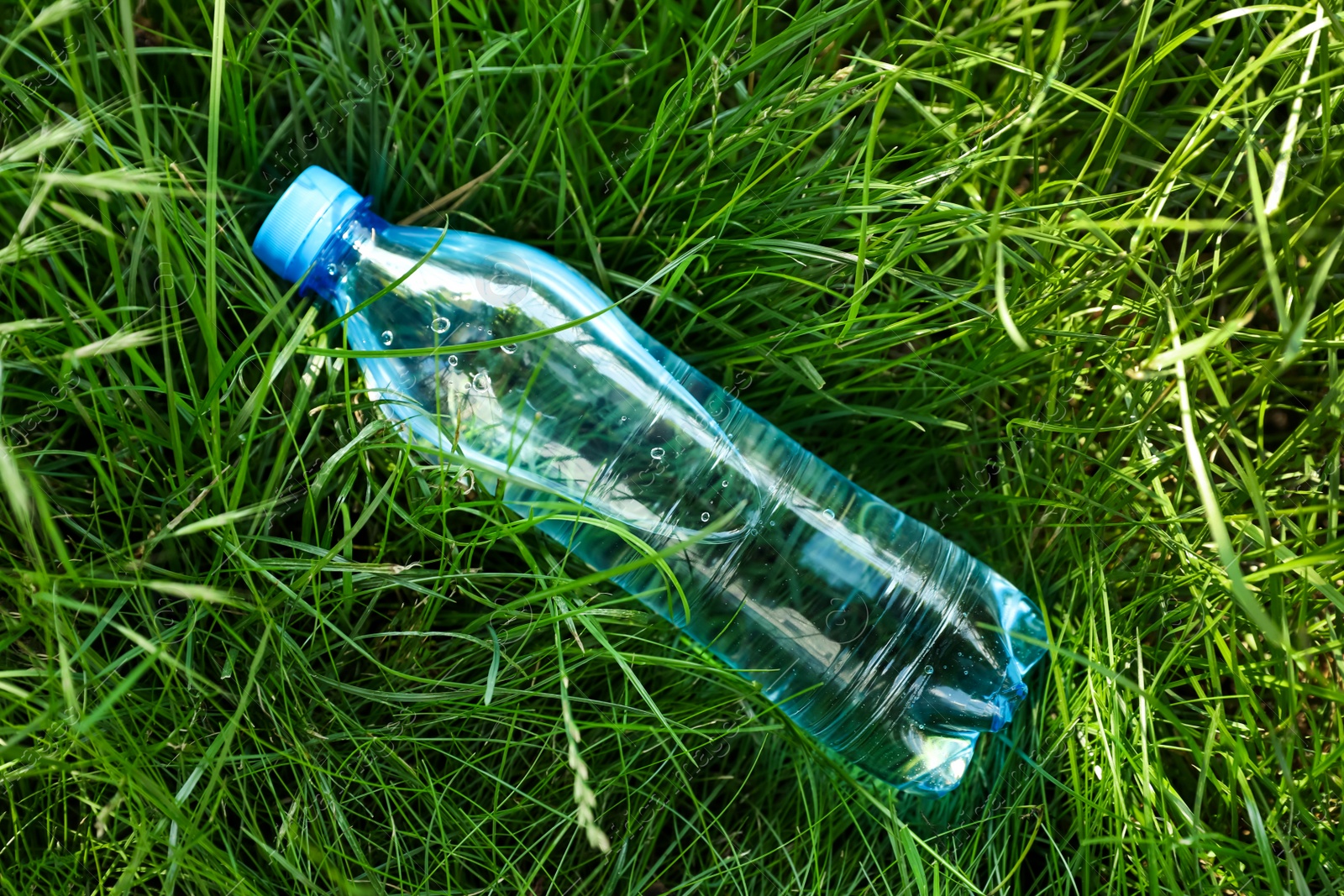 Photo of Bottle of fresh water on green grass, top view