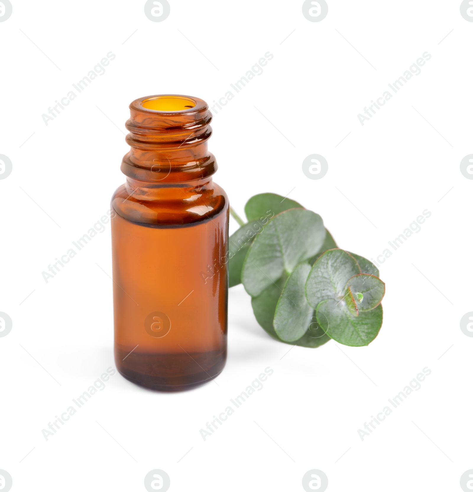 Photo of Bottle of eucalyptus essential oil and plant branch on white background