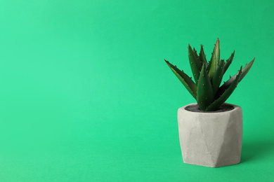 Photo of Beautiful artificial plant in flower pot on green background, space for text