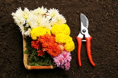 Photo of Flowers and pruner on fresh soil, flat lay. Gardening tool