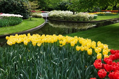 Photo of Park with beautiful flowers and water canal. Spring season