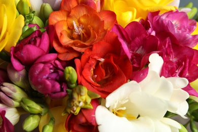 Photo of Beautiful bright spring freesia flowers as background