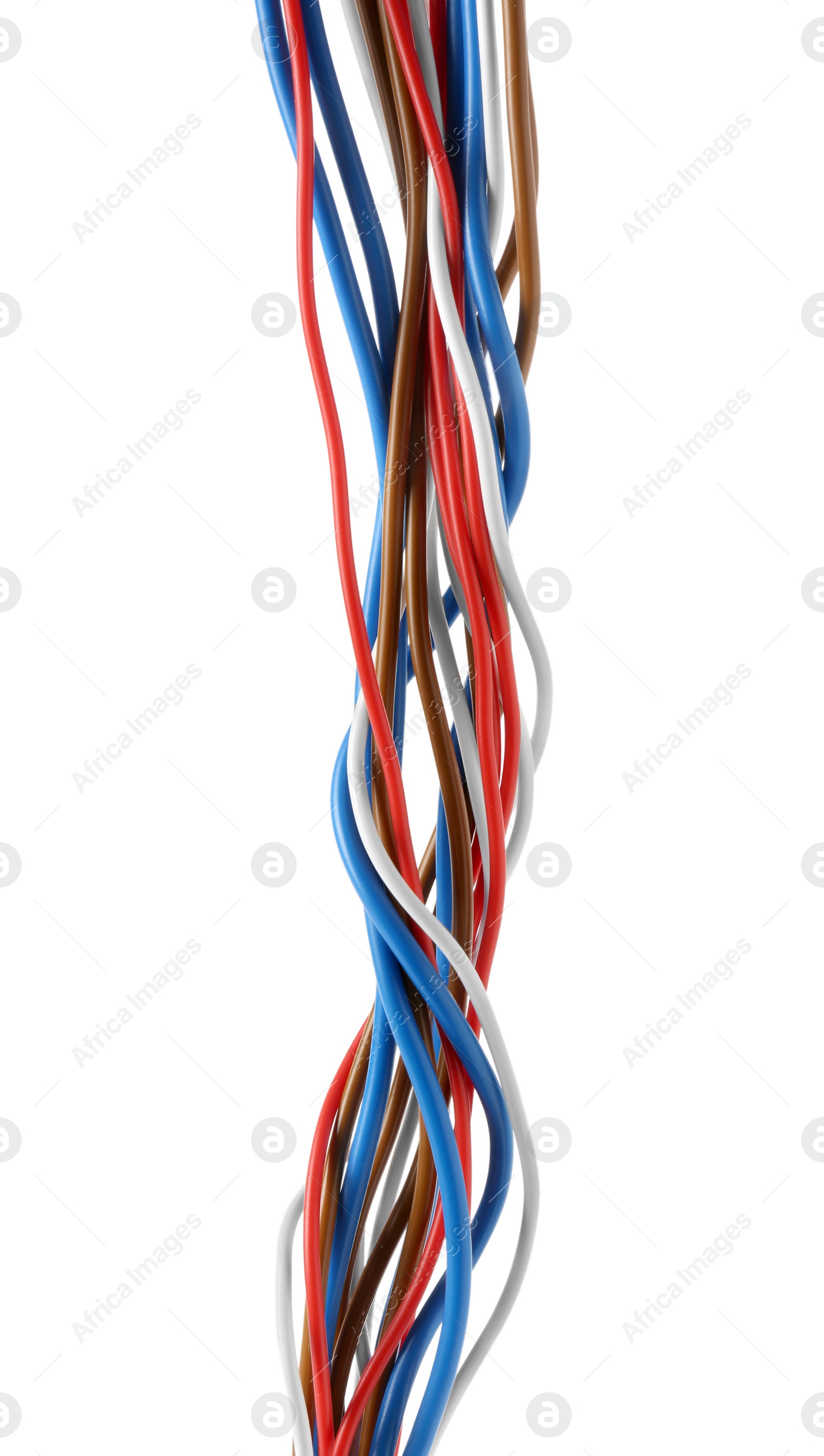 Photo of New colorful electrical wires isolated on white