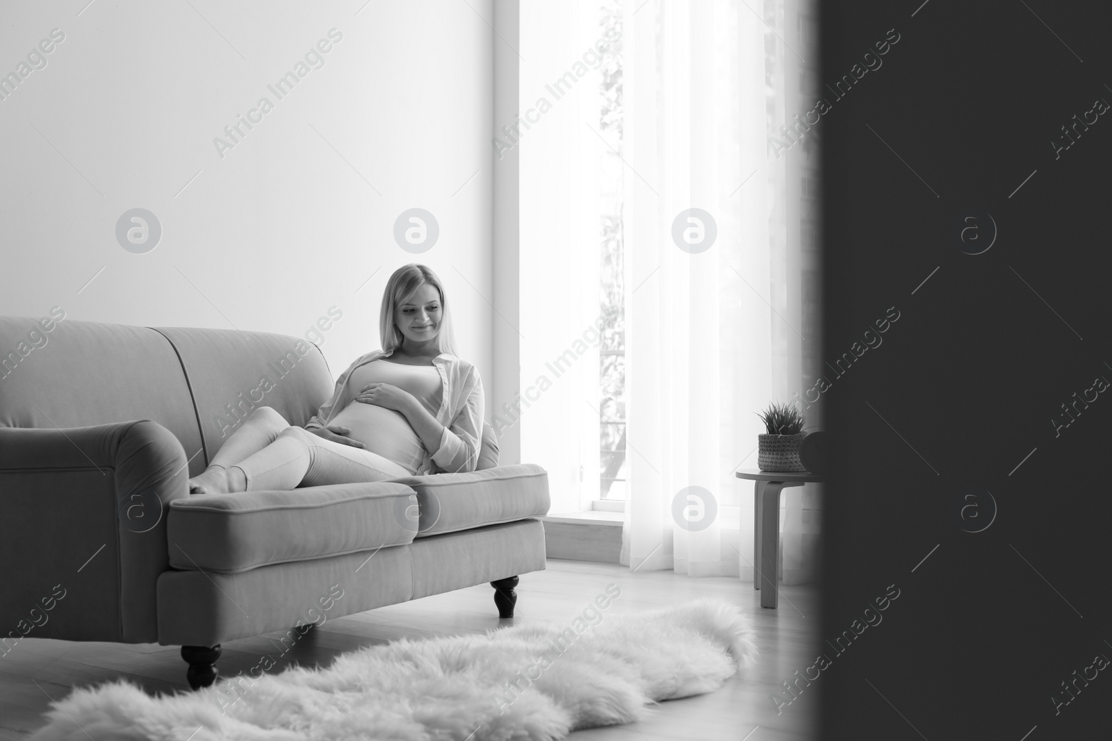 Photo of Beautiful pregnant woman resting on sofa at home, black and white effect