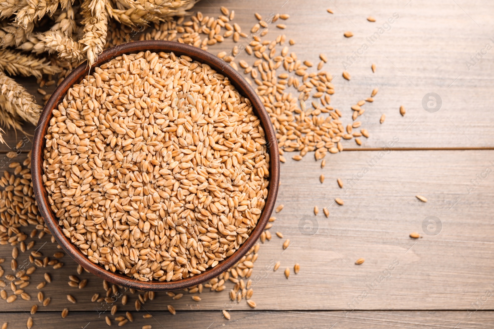 Photo of Wheat grains in bowl and spikes on wooden table, flat lay. Space for text