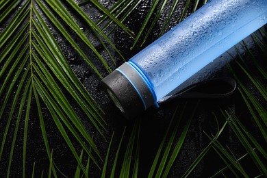 Photo of Wet thermo bottle and green leaves on black table, above view