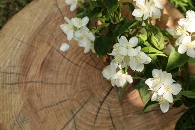 Photo of Branches of beautiful jasmine flowers on wooden stump outdoors, above view. Space for text