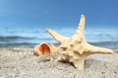 Photo of Beautiful starfish and shells on sand near sea. Beach objects