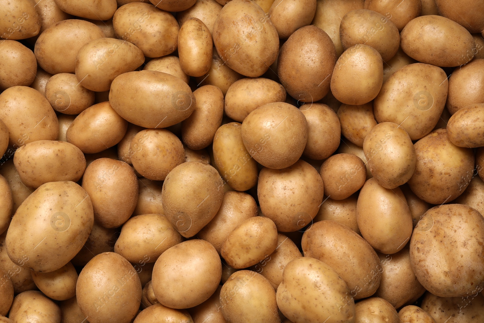 Photo of Raw fresh organic potatoes as background, top view