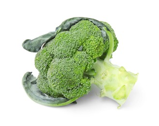 Photo of Fresh raw green broccoli isolated on white