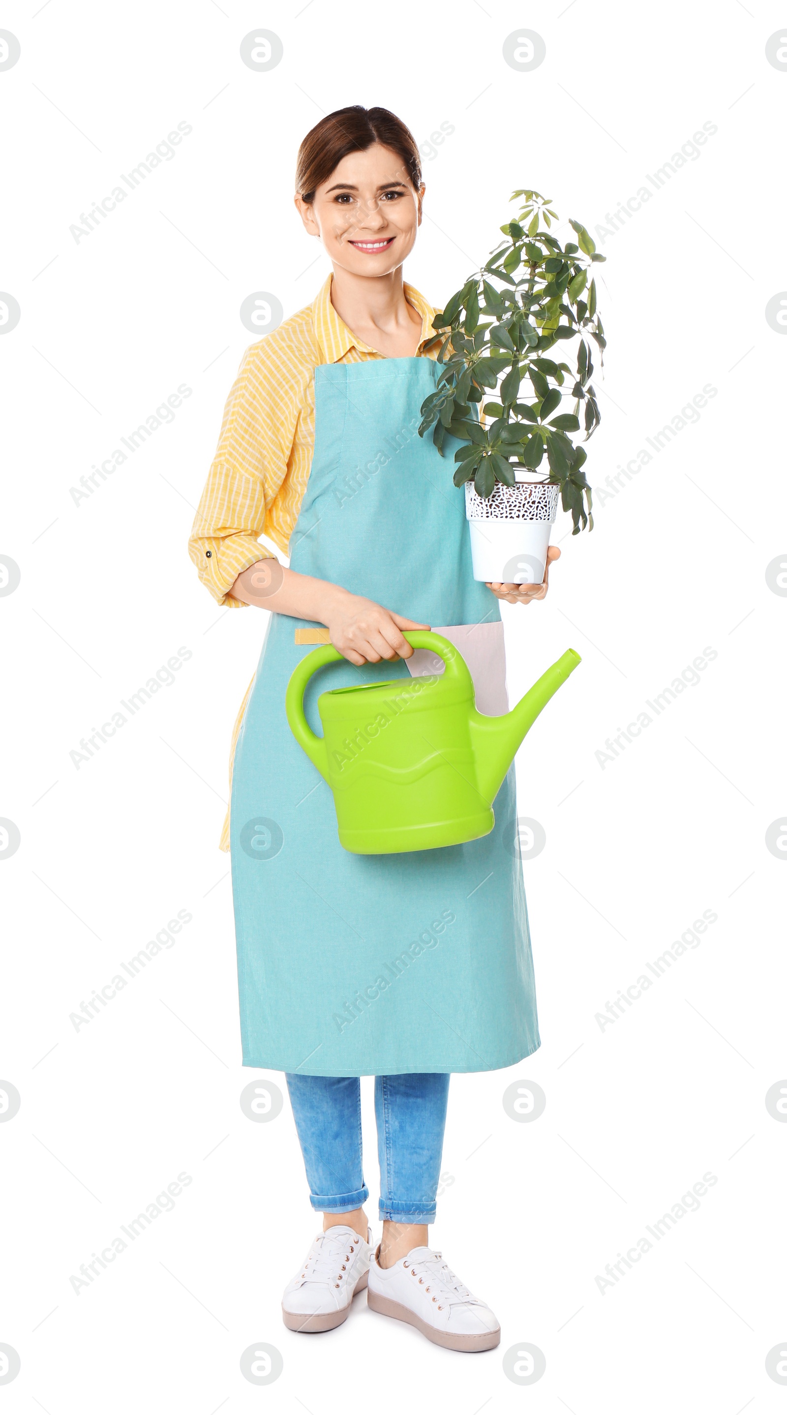 Photo of Female florist holding houseplant and watering can on white background