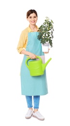 Photo of Female florist holding houseplant and watering can on white background