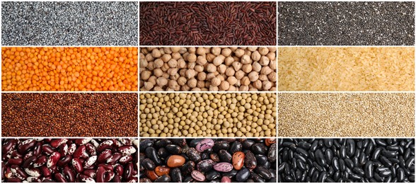 Collage with photos of different legumes and seeds, banner design. Vegan diet 