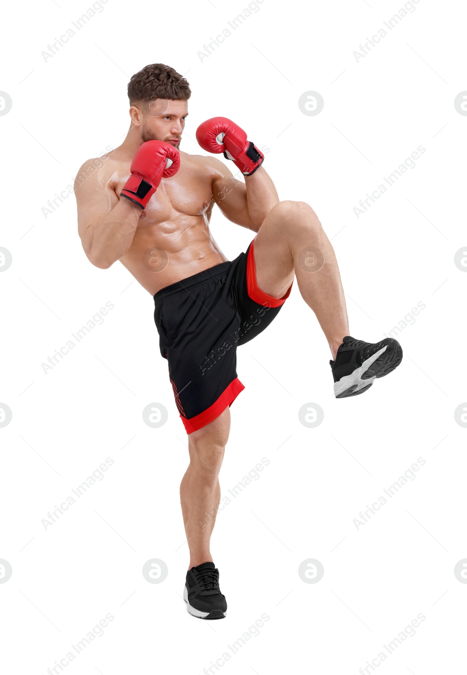 Photo of Man in boxing gloves fighting on white background