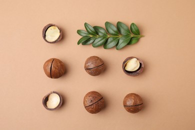 Photo of Tasty Macadamia nuts and green twig on beige background, flat lay