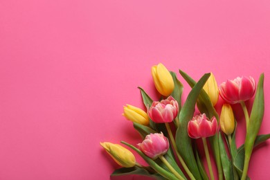 Photo of Many beautiful tulips on pink background, flat lay. Space for text