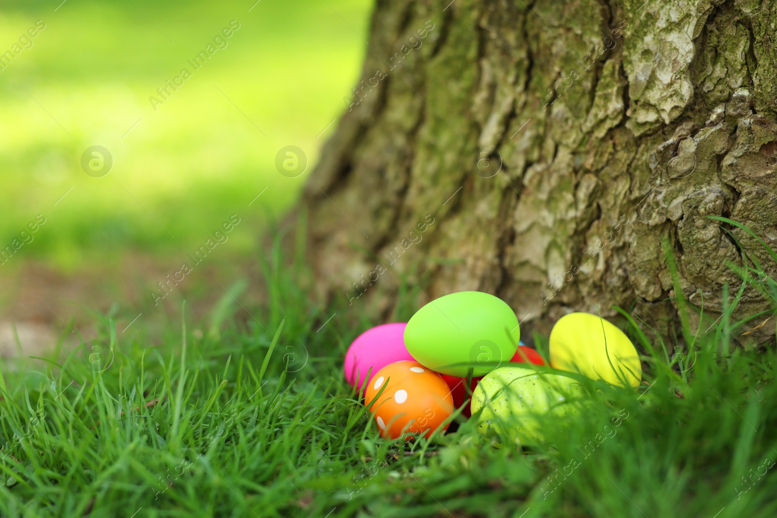 Photo of Easter celebration. Painted eggs on green grass, space for text