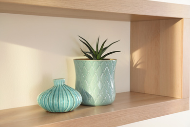 Wooden shelf with houseplant on light wall