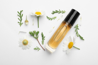 Photo of Composition with chamomile flowers and cosmetic bottle of essential oil on white background, top view