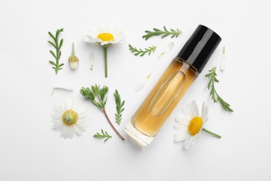 Composition with chamomile flowers and cosmetic bottle of essential oil on white background, top view