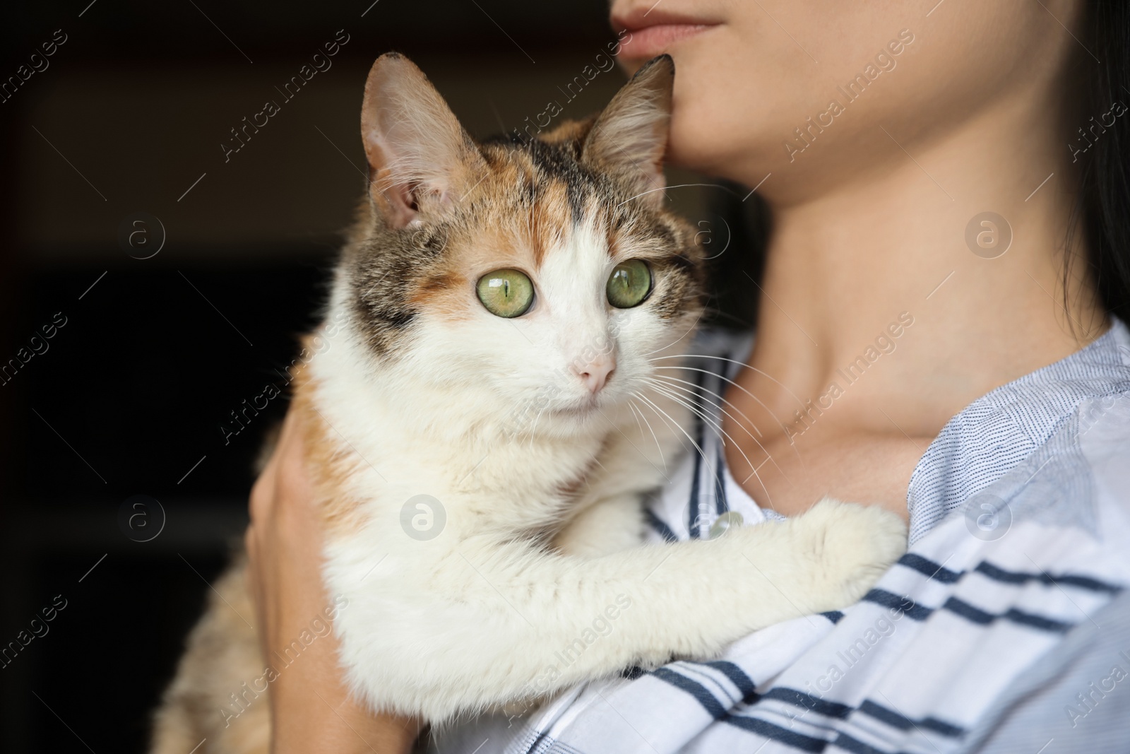 Photo of Woman holding homeless cat indoors. Concept of volunteering