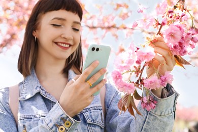 Beautiful young woman taking picture of blossoming sakura tree branch in park, focus on hand